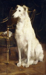 En Borzoi vid en stol