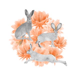 Jack Rabbits, 2021 (grafitpenna  digital)
