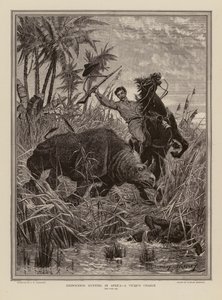 Noshörningsjakt i Afrika (gravyr) av Stanley (after) Berkeley