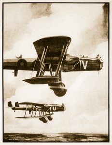 Stora grejer, illustration från "Flying Memories" av John Hamilton