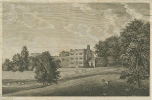 Butterton Hall: gravyr och [?1700-talet] (tryck) av Stebbing Shaw