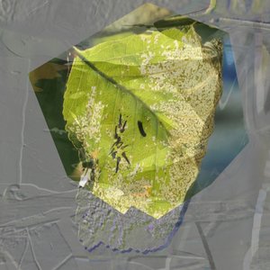 Sammanfattning: Grönt blad
