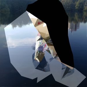 Fragmenterade speglingar i sjön