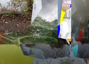 Fragmenterad stadsnatur