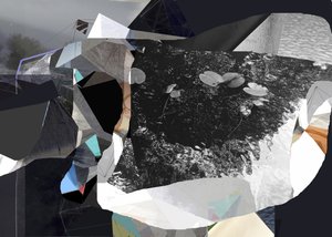 Fragmenterade näckrosor
