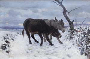 De två åsnorna i snön
