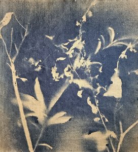 Blå botanisk silhuett