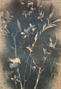 Blå botanisk studie