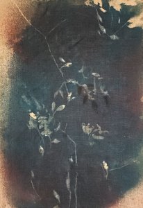 Mörkblå botaniska motiv