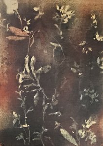 Mörka botaniska former av Stefano Mazzolini