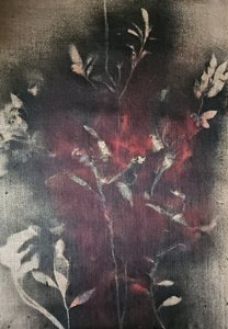 Mörkt botaniskt sken av Stefano Mazzolini