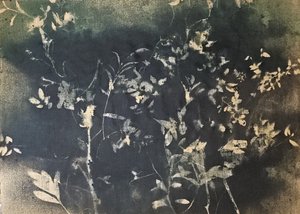 Mörka botaniska silhuetter