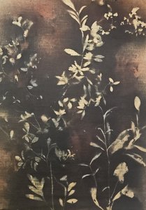 Mörka botaniska silhuetter
