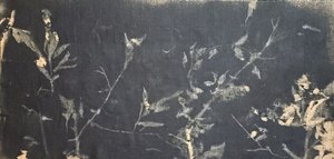 Mörk botanisk studie