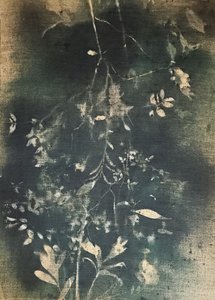 Mörk botanisk studie av Stefano Mazzolini