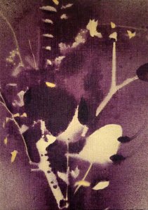 Djuplila botaniska motiv av Stefano Mazzolini
