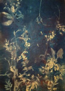 Eteriska blå botaniska motiv av Stefano Mazzolini