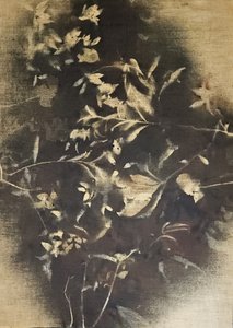 Stämningsfulla blomsterskuggor