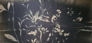 Blomning i skuggträdgården