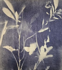Vintage botaniska blåtoner