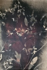 Vintage botanisk uttoning