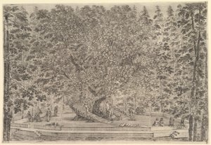 Ett stort bebott träd i centrum med ramper som leder runt stammen, nedanför en stenpa..., ca. 1653. av Stefano della Bella