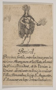 Brasilien, 1644. av Stefano della Bella