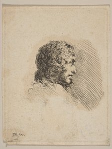 Chef för en ung man i profil, från Diverse porträtt Recueil de Diverses Piéces S..., ca. 1647. av Stefano della Bella