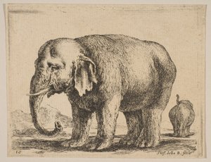 Tallrik 10: elefant, från Diverse djur Diversi animali, ca. 1641. av Stefano della Bella