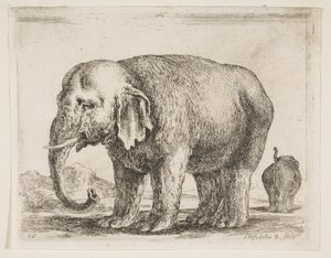 Tallrik 10: elefant, från Diverse djur Diversi animali, ca. 1641. av Stefano della Bella
