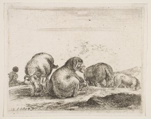 Plåt 12: får och bagge i en hage, från Diverse djur Diversi animali, ca. 1641. av Stefano della Bella