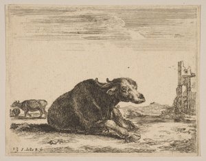 Tallrik 13: buffel liggande, från Diverse djur Diversi animali, ca. 1641. av Stefano della Bella