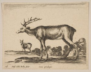 Tallrik 16: hjort, från Diverse djur Diversi animali, ca. 1641. av Stefano della Bella