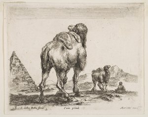 Skylt 18: kamel sedd bakifrån med pyramid till vänster, från Diverse djur Diver..., ca. 1641. av Stefano della Bella