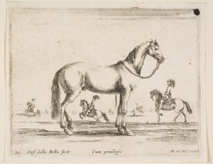 Plåt 21: häst, från Diverse djur Diversi animali, 1641. av Stefano della Bella