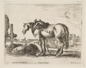 Tallrik 22: vagnhäst, från Diverse djur Diversi animali, ca. 1641. av Stefano della Bella