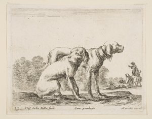 Plåt 23: två hundar, från Diverse djur Diversi animali, ca. 1641. av Stefano della Bella
