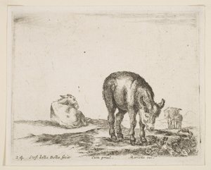 Tallrik 24: åsnor, från Diverse djur Diversi animali, ca. 1641. av Stefano della Bella