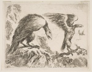 Tavla 2: örn och örn, från Diverse djur Diversi animali, ca. 1641. av Stefano della Bella