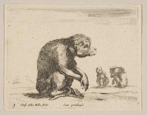 Tallrik 3: sittande apa, från Various animals Diversi animali, ca. 1641.