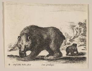 Tallrik 4: björn, från 
