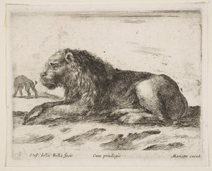 Plåt 5: liggande lejon, från Various animals Diversi animali, 1641. av Stefano della Bella