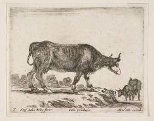 Tallrik 7: oxe, från Diverse djur Diversi animali, ca. 1641.
