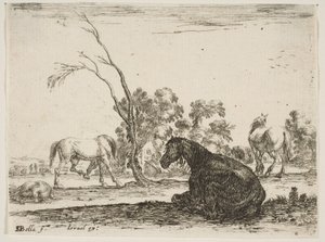 Plåt 8: en sittande häst till höger, sedd bakifrån och vänd åt vänster, tre andra hor..., 1642.