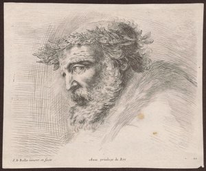 Studie av huvudet på en skäggig gammal man med lagerkrans, i profil, vänd åt vänster, ur serien Principii del disegno