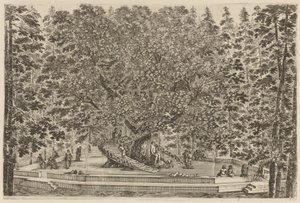 Det bebodda trädet, troligen 1653. av Stefano della Bella