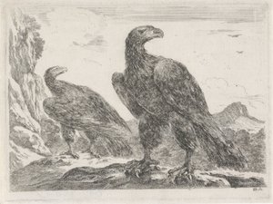 Två örnar med huvuden till höger Eagles (serietitel) av Stefano della Bella
