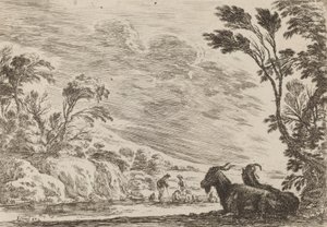 Två liggande getter, 1642. av Stefano della Bella
