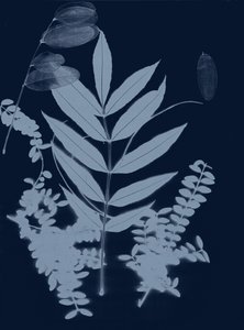 Cyan Foliage 01, 2017 (digital) av Stephen Dow