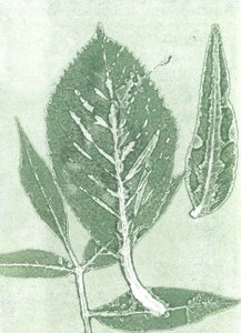Gone IX, 2015 (monoprint på papper) av Stephen Dow